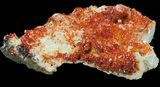 Red Vanadinite Crystal Cluster - Morocco #38528-3